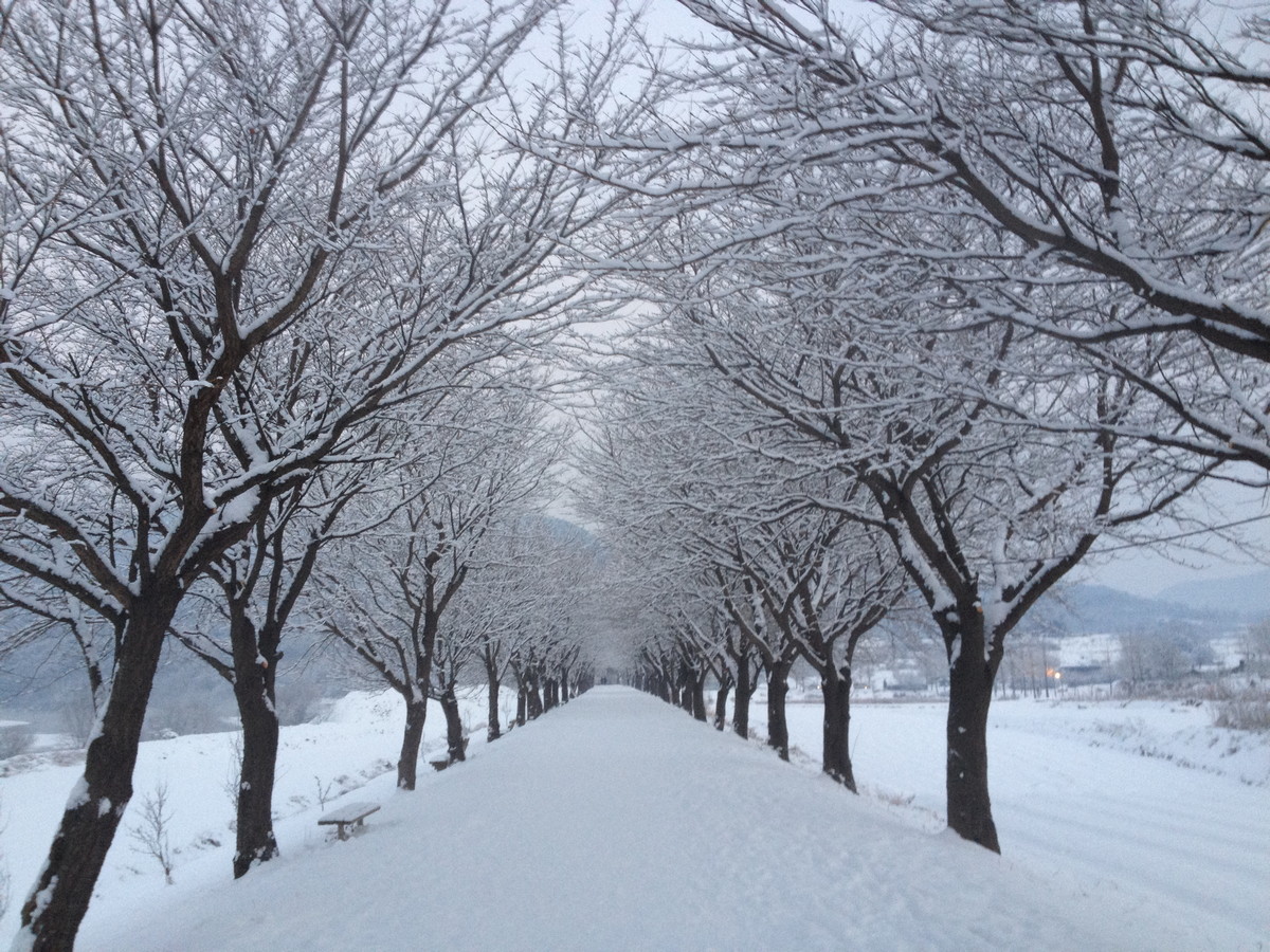 겨울겨울겨울 - IMG_0099.JPG