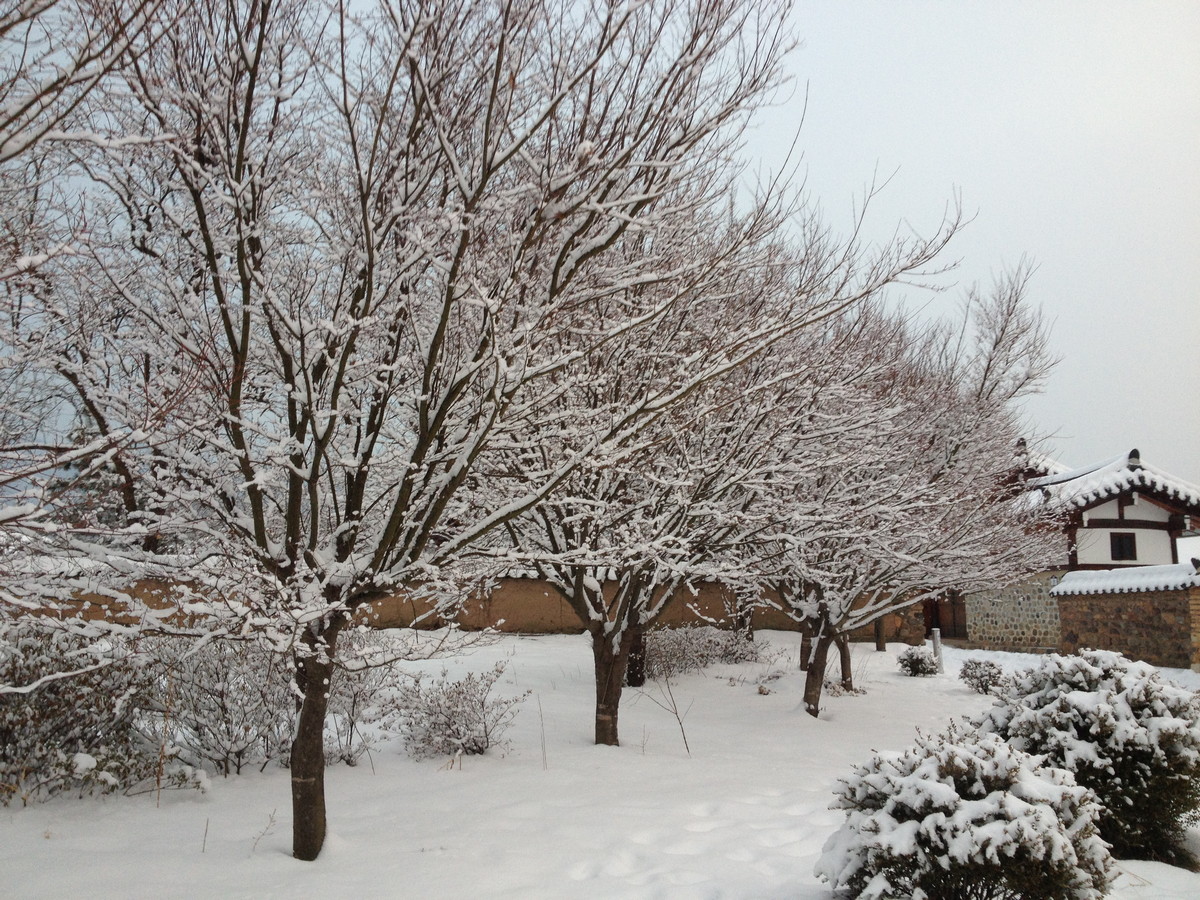 겨울겨울겨울 - IMG_0063.JPG